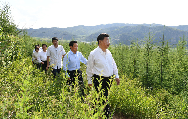 德州扑克