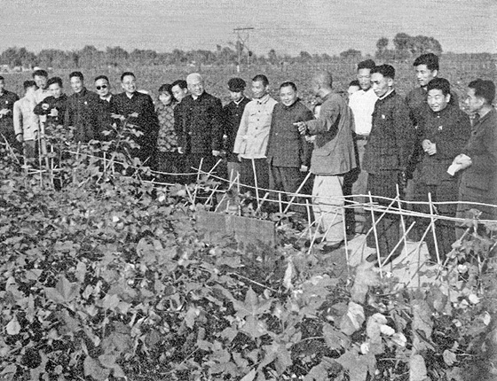 德州扑克
