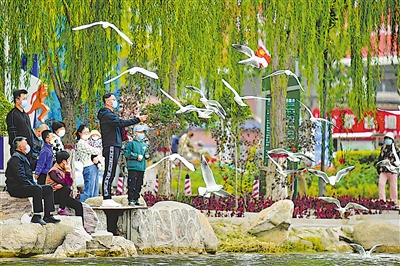 德州扑克